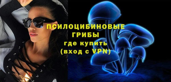 Альфа ПВП Мегион