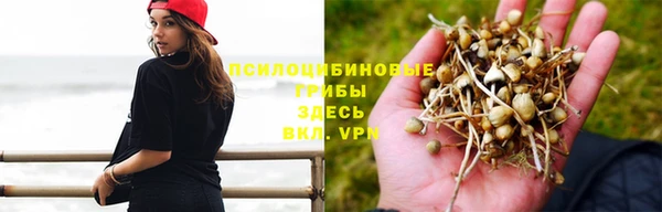 кокаин Медногорск