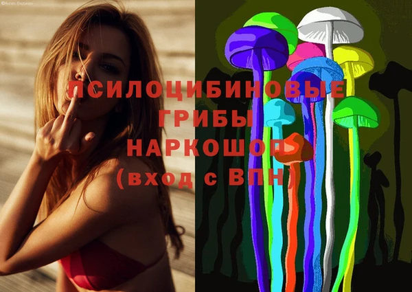 mdma Медвежьегорск