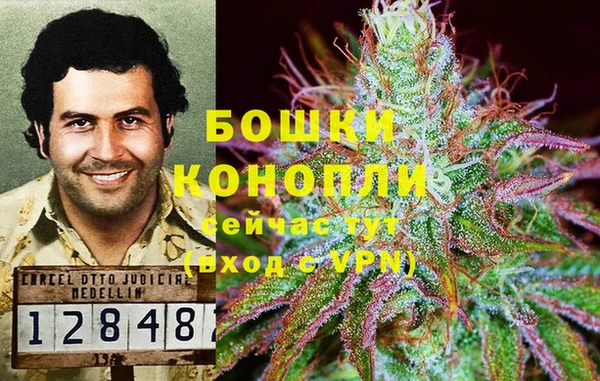 mdma Медвежьегорск