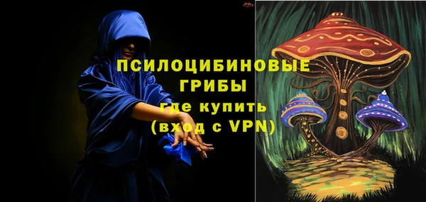 Альфа ПВП Мегион