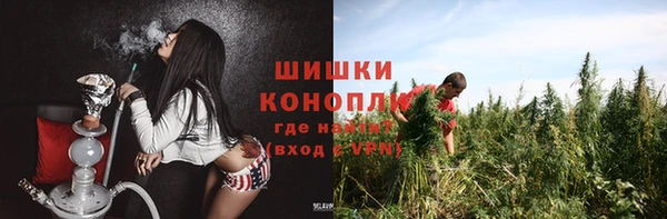 Альфа ПВП Мегион