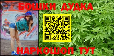 МДПВ Гатчина