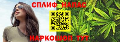 МДПВ Гатчина
