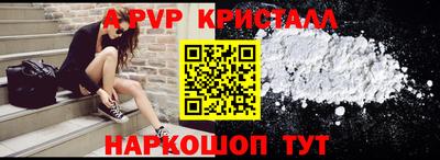 крисы Гагарин