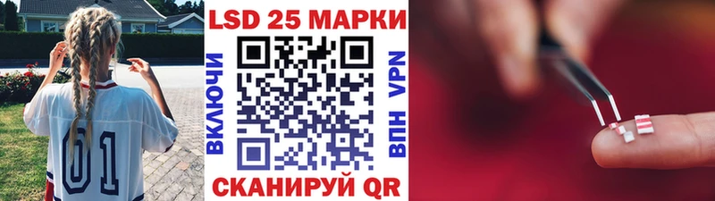 darknet как зайти  Гусев  Марки 25I-NBOMe 1,5мг 