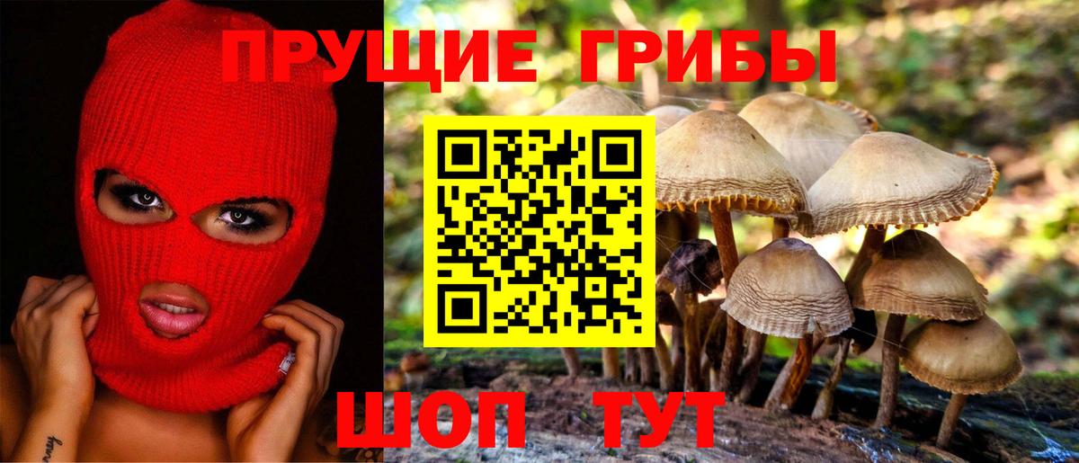 Псилоцибиновые грибы MAGIC MUSHROOMS Гусев