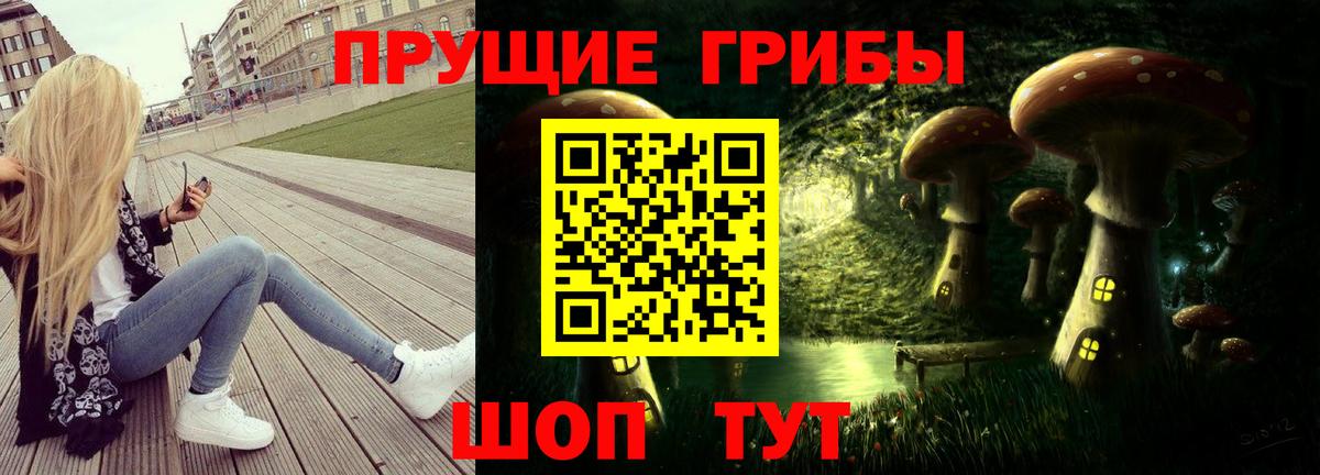 Галлюциногенные грибы GOLDEN TEACHER  Вход с VPN  Псилоцибиновые грибы прущие грибы  Гусев 
